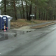 Illustration for article titled Shalane Flanagan Takes 13-Second Bathroom Break In The Middle Of The Boston Marathon